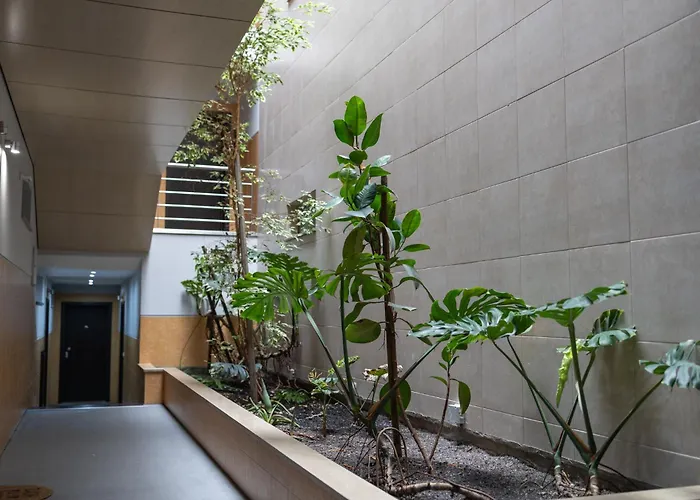 Terracos Da Baia - By Smarthomes São Martinho do Porto