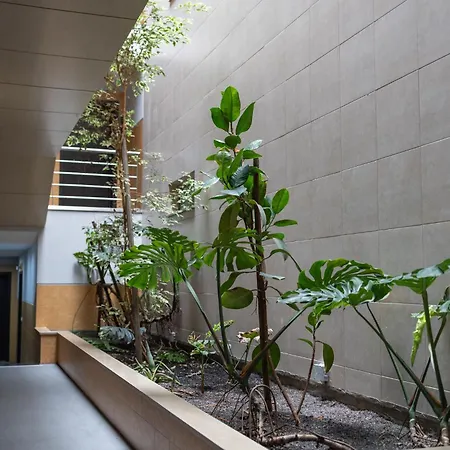 Terracos Da Baia - By Smarthomes São Martinho do Porto